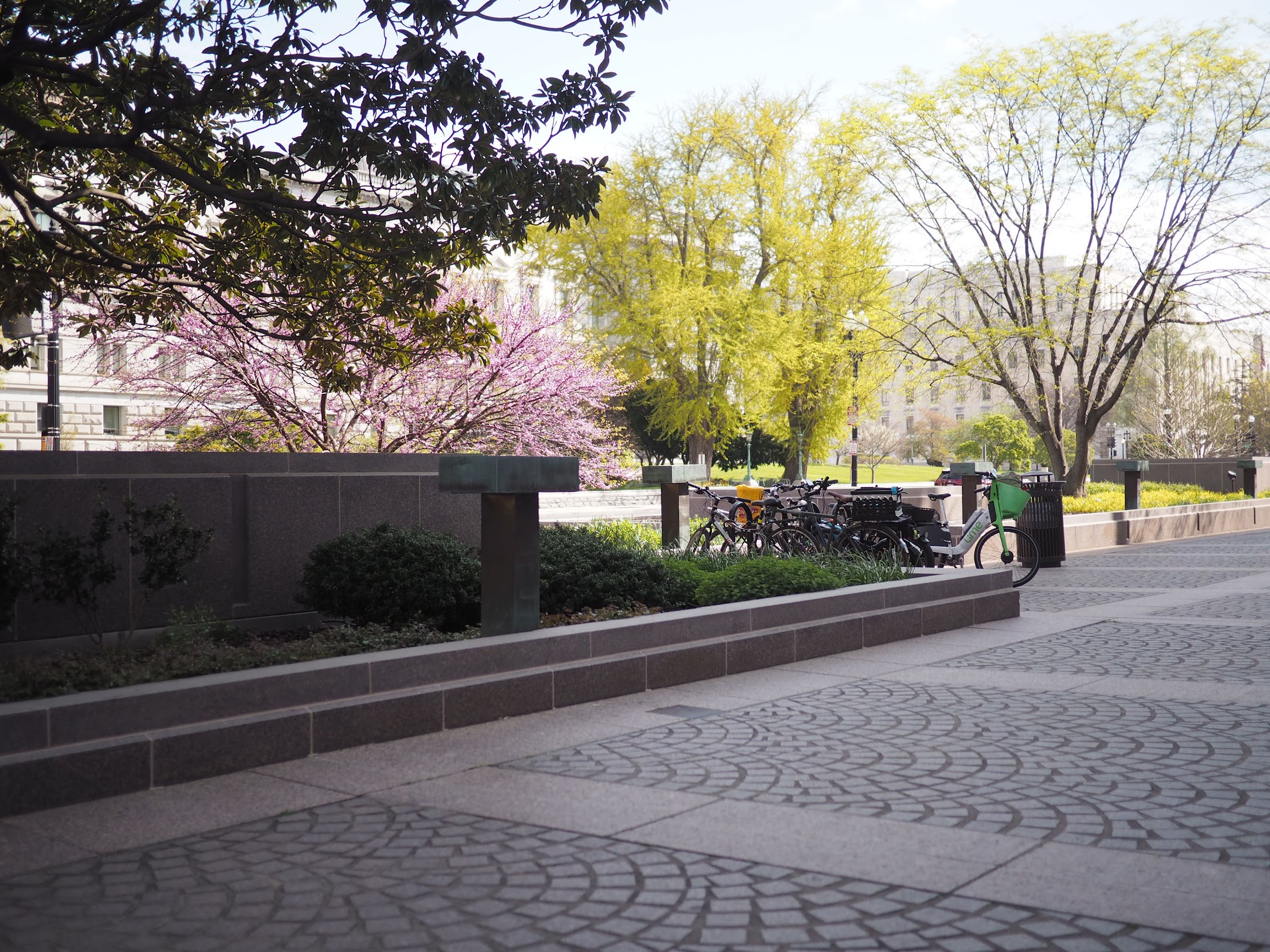 A photograph of a plaza with plants, trees, and a bicycle rack