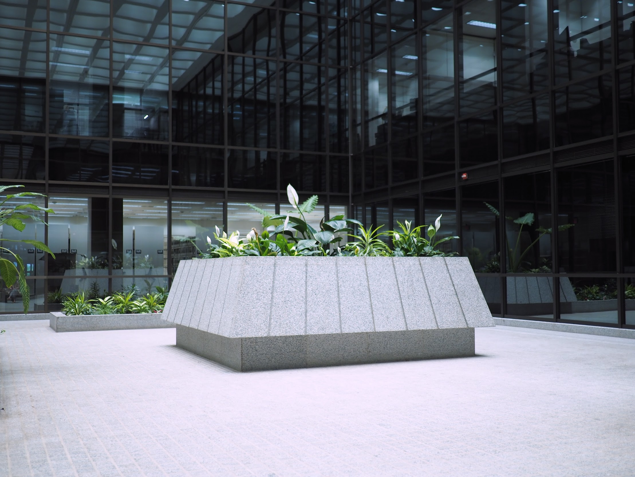 A photograph of plants in a stone structure in a plaza in front of large exterior walls made up of windows